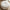Paisley Puf i Off-White Fra House Nordic | Polyester
