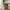 Palma Spisebord i Greige MDF og Fyrretræ fra Unique Furniture | L200xB90xH75cm