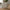 Palma TV Bænk i Greige MDF fra Unique Furniture | L140xB45xH50cm