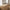 Ponza Skænk i Naturlig Egetræsfinér fra Unique Furniture | B140,2xD43xH75cm