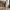 Roanne Spisebordsstol i Sand fra House Nordic | 59x66x80cm