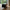 Seaford TV Bord i Sort & Mat Vild Eg MDF & Stel i Mat Sort Stål fra Actona | B140xD40xH45cm - Billede 3