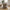 Sion Loungestol i Sand fra House Nordic | 83x88x72cm