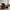 Sofia Loungestol i Brun fra House Nordic | 76x83x72cm