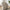 Sofia Loungestol i Sandfarvet Polyester Fra House Nordic | 82x70x73 cm