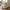 Taza Midtermodul i Natur fra House Nordic | 85x95x77cm