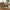 Terracina Loungesofa med Ben i Akacietræ inkl. Beige Hynder fra House Nordic
