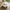 Vega Sofabord i Latte Marmor fra Actona | B90xD90xH42cm - Billede 3