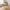 Vojens skrivebord i Massiv Gummitræ & Hvid bordplade fra House Nordic | H75 x120 x60 cm