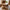 Volos Spisebord/Plankebord i Massiv Teaktræ Fra House Nordic | 100x240x75 cm
