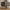 Watford Bænk med Opbevaring i Brun Bouclé fra House Nordic | L95xB365xH43cm