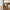 X-shelf Reol i Olieret Egetræ fra Unique Furniture | B70xH124xD30cm