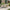 Abela Havemøbelsæt med Abela Spisebordsstole i Sand/Natur Nonwood &amp; PE Rattan fra House Nordic | 6 Stole &amp; 1 Bord
