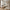Amol Sofa i Sand Polyester med 3 Puder fra House Nordic | L326xB138xH75 cm