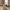 Diu Bakke i Sort Marmor &amp; Messing fra House Nordic | B38xD12,5xH3,5 cm