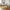 Fondi Spisebord i Sand/Brun Cement &amp; MDF fra House Nordic | L240xB100xH76 cm