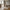 Gaya Gulvtæppe i Beige Uld fra House Nordic | L300xB200 cm