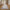 Havana Løber i Off White/Beige/Støvet Blå Polyester fra House Nordic | B80xL200 cm