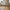 Lanuza Spisebordsstol i Sort PU &amp; Ben i Natur Egetræ fra House Nordic | B48xL51xH77 cm