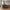 Lido 2,5 Personers Sofa i Brun Fløjl med Puder &amp; Ben i Sort Træ fra House Nordic | B180xL93xH76 cm