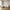 Noor Venstrevendt Loungesofa i Off-White Polyester med 2 Puder fra House Nordic | B276xL94-166xH75 cm
