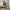 Oliventræ Kunstig Plante i Grøn PE Plastik fra House Nordic | L110xB100xH220 cm