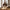 Velvet Boom Kunstig Buket i Mix PE Plastik &amp; Polyester fra House Nordic | L30xB26xH60 cm