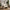 Zahara Loungestol i Beige Polyester fra House Nordic | B85,5xL81xH74,5 cm