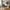 Zomba Loungestol i Brun Polyester &amp; Ben i Krom Metal fra House Nordic | B79xL79,5xH77 cm
