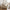 Amol Sofa i Sand Polyester med 3 Puder fra House Nordic | L326xB138xH75 cm
