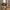 Autumn Buket i Mix Polyester &amp; PE Plastik fra House Nordic | L30xB28xH63 cm