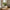 Green Spirit Buket i Mix PE Plastik fra House Nordic | L30xB30xH71 cm