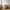 Larvik Konsolbord i Off-White Granit &amp; Natur Asketræ fra House Nordic | B130xD40xH78 cm