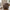 Lido 2,5 Personers Sofa i Brun Fløjl med Puder &amp; Ben i Sort Træ fra House Nordic | B180xL93xH76 cm