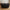 Luksus Overtræk til Bord med 6 Stole i Sort Polyester fra House Nordic | L235xB155xH95 cm