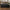 Luksus Overtræk til Lounge &amp; Sofasæt i Sort Polyester fra House Nordic | L210xB180xH95 cm