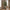 Oliventræ Kunstig Plante i Grøn PE Plastik fra House Nordic | L110xB100xH220 cm