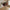 Velvet Boom Kunstig Buket i Mix PE Plastik &amp; Polyester fra House Nordic | L30xB26xH60 cm