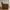 Zahara Loungestol i Gyldenbrun Polyester fra House Nordic | B85,5xL81xH74,5 cm