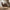 Zomba Loungestol i Brun Polyester &amp; Ben i Krom Metal fra House Nordic | B79xL79,5xH77 cm