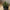 Agave Kunstig Plante i Grøn/Grå PE Plastik med Potte fra House Nordic | L32xB31xH41 cm
