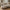 Amol Sofa i Sand Polyester med 3 Puder fra House Nordic | L326xB138xH75 cm