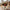 Autumn Buket i Mix Polyester &amp; PE Plastik fra House Nordic | L30xB28xH63 cm