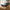 Diu Bakke i Sort Marmor &amp; Messing fra House Nordic | B38xD12,5xH3,5 cm
