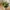 Green Spirit Buket i Mix PE Plastik fra House Nordic | L30xB30xH71 cm