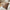 Lamu Pude i Brun/Beige Polyester &amp; Bomuld fra House Nordic | B45xH45 cm
