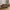 Lido 2,5 Personers Sofa i Brun Fløjl med Puder &amp; Ben i Sort Træ fra House Nordic | B180xL93xH76 cm