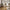 Savina Spisebordsstol i Sand Polyester &amp; Ben i Natur Metal fra House Nordic | B50xL60xH81 cm