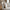 Albany Pude i Hvid Polyester & Bomuld fra House Nordic | B45xH45 cm