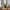 Aloe Vera Kunstig Plante i Grøn PE Plastik fra House Nordic | L30,5xB30,5xH51 cm